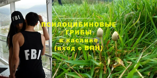 СК Аркадак