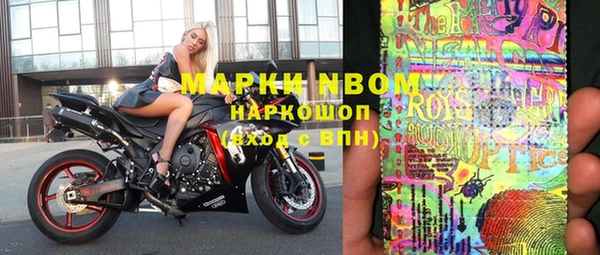 хмурый Арсеньев