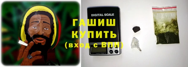 хмурый Арсеньев