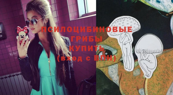 хмурый Арсеньев