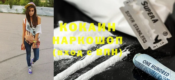 хмурый Арсеньев