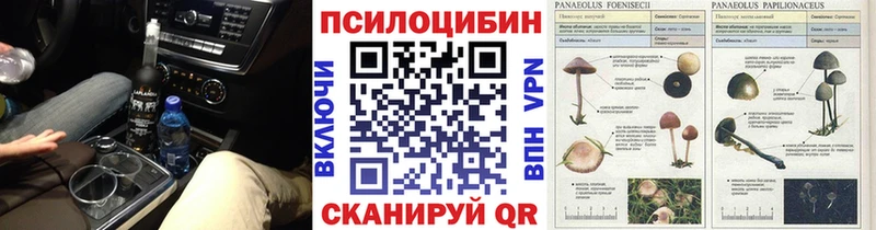 Галлюциногенные грибы Cubensis  Минусинск 