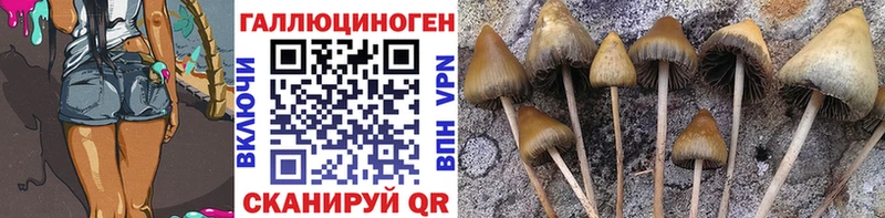 Галлюциногенные грибы MAGIC MUSHROOMS Минусинск