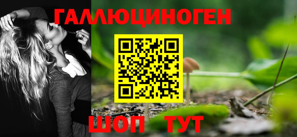 Псилоцибиновые грибы Cubensis Минусинск